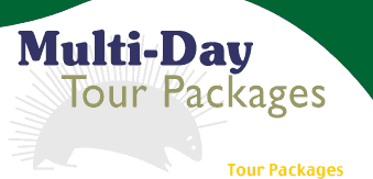 Multiday Tour Packages
