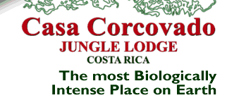 Casa Corcovado Jungle Lodge Costa Rica - The most biologically intense place on earth.
