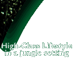 High-Class Lifestyle in a jungle setting