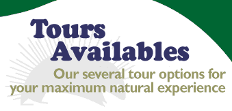 Tour packages; our several tour options for your maximum natual experience