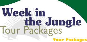 Sportfishing Tour Packages