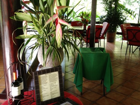 Barl El Bosque Web  (1)