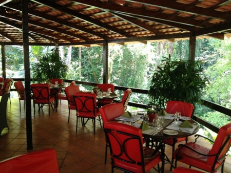 Barl El Bosque Web  (11)