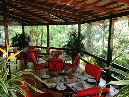 Barl El Bosque Web  (12)