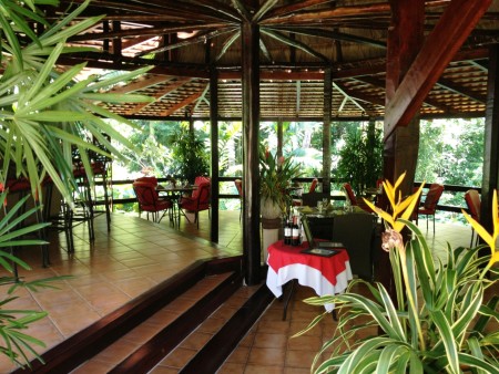 Barl El Bosque Web  (14)