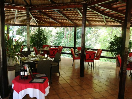 Barl El Bosque Web  (15)