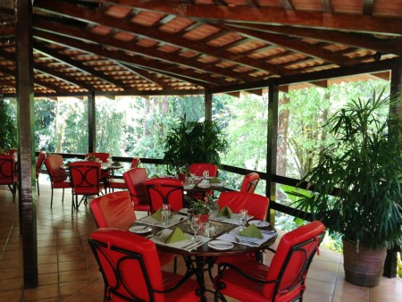 Barl El Bosque Web  (16)