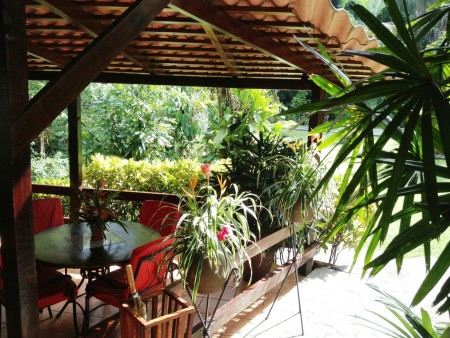 Barl El Bosque Web  (2)