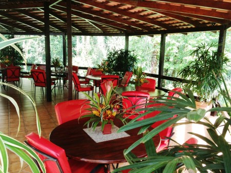 Barl El Bosque Web  (4)