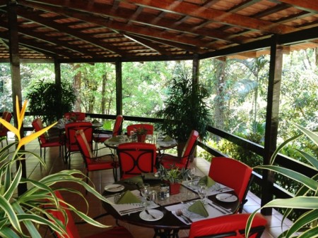 Barl El Bosque Web  (6)