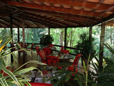 Barl El Bosque Web  (7)