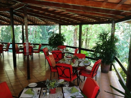 Barl El Bosque Web  (8)