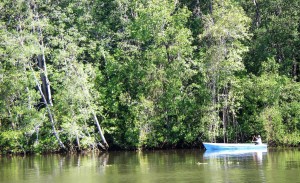 MAnglar web 3