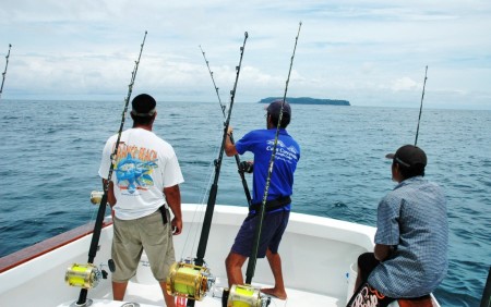 Pesca Web 4